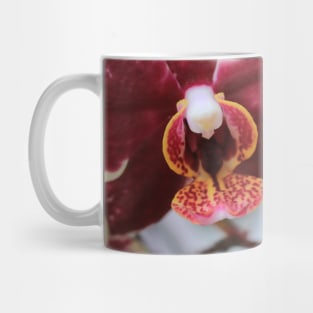 Orchid on the move Mug